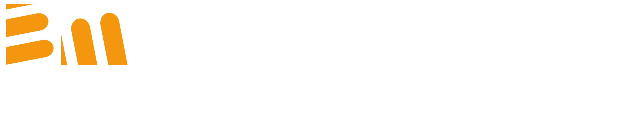 BM Makina Logo